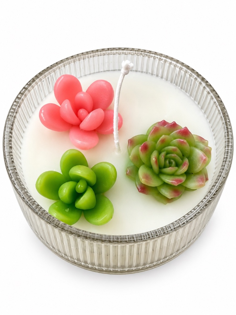 Garden Variety Succulent Candle 10 oz Glass Bowl Botanical NWT